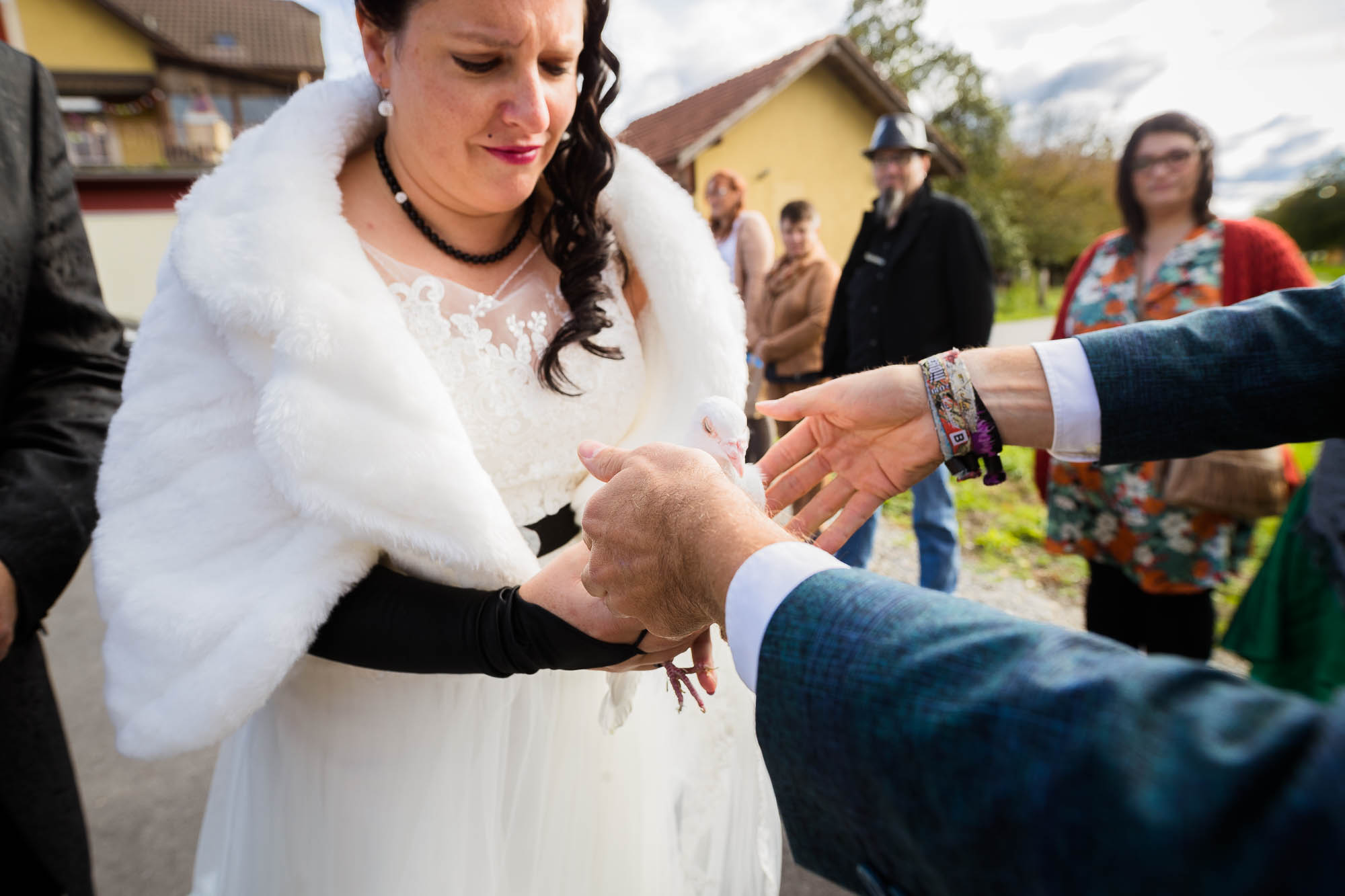 Export x3 1DX28919 Hochzeit 2020 Claudia & Thomas